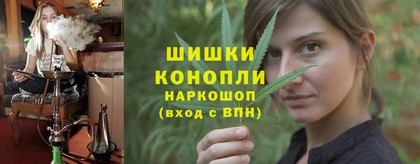 сатива Новодвинск