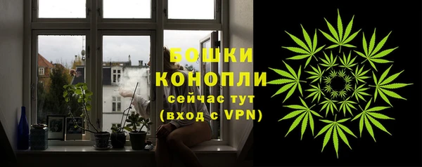 таблы Новозыбков