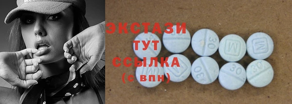 сатива Новодвинск