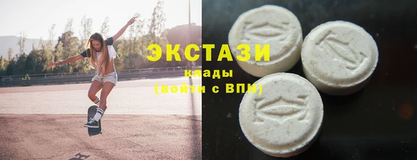 сатива Новодвинск