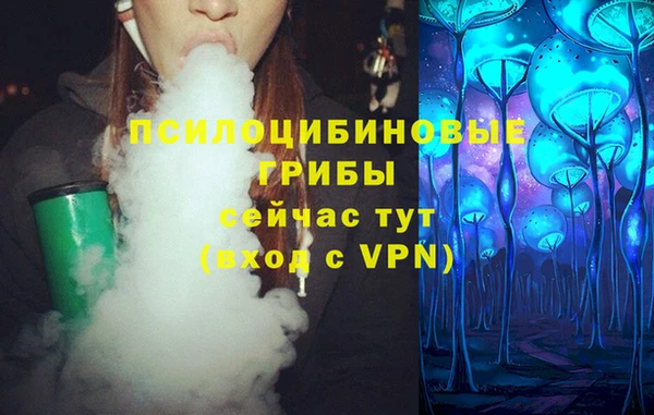 таблы Новозыбков