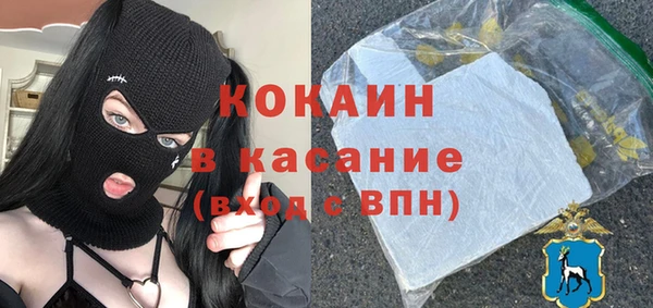 сатива Новодвинск