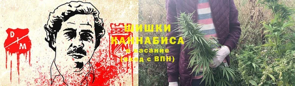 сатива Новодвинск