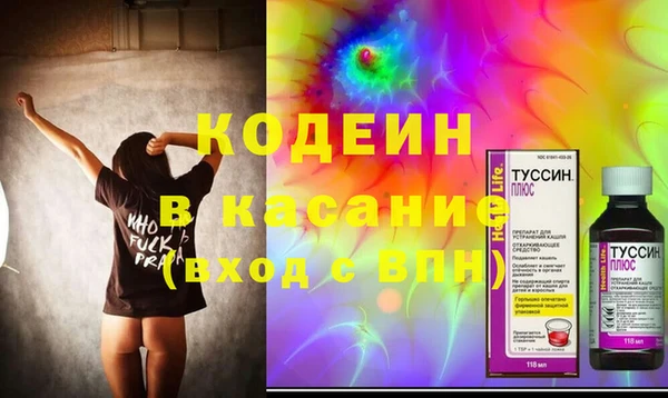 сатива Новодвинск
