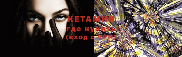таблы Новозыбков