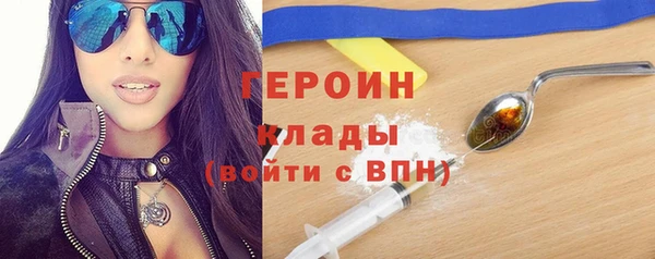 сатива Новодвинск