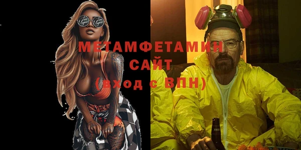 сатива Новодвинск