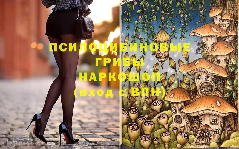 Галлюциногенные грибы Magic Shrooms  Скопин 