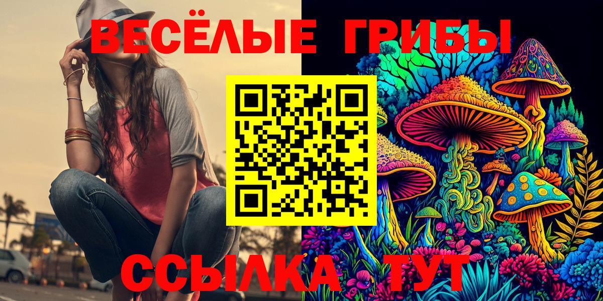 Псилоцибиновые грибы Psilocybe Скопин