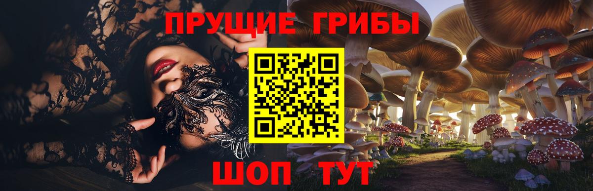 Скопин  Псилоцибиновые грибы мицелий  Вход с VPN  Галлюциногенные грибы Psilocybine cubensis 